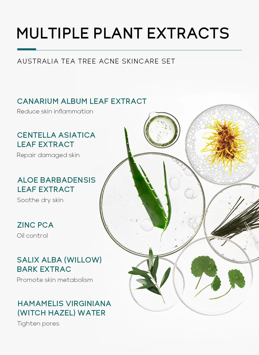 LAIKOU Australia Tea Tree Acne Skincare Five-Piece Set - bodyrelief.uk